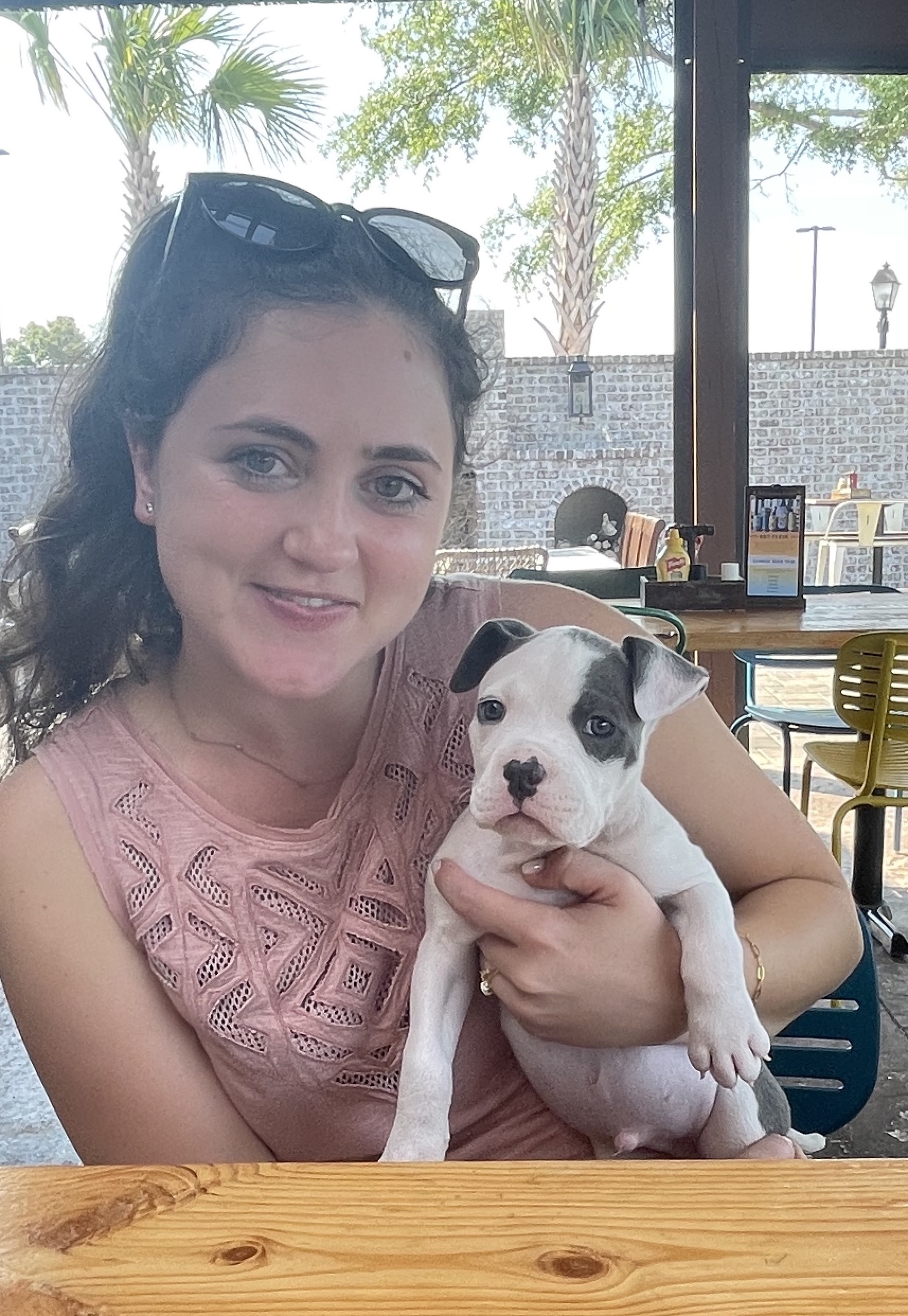 What to Expect When You’re Expecting a New Puppy The Common Crumb